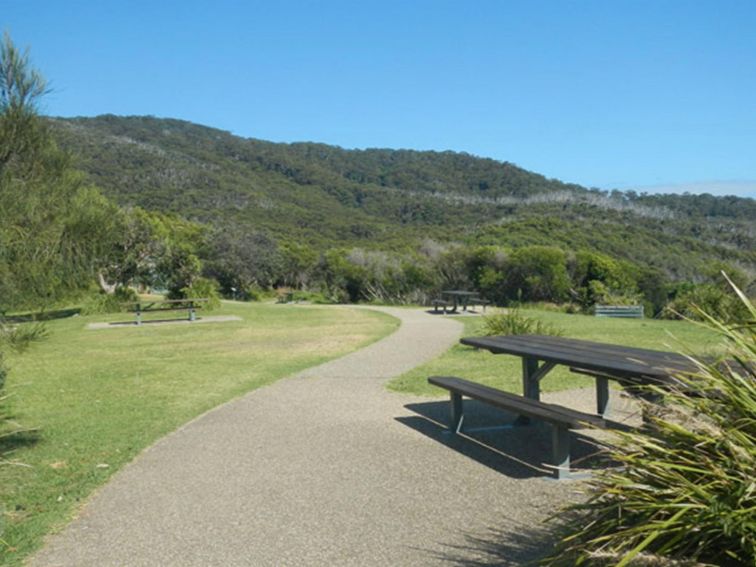 The picnic area and picnic tables at Smoky Cape picnic area, Hat Head National Park. Photo: Debby