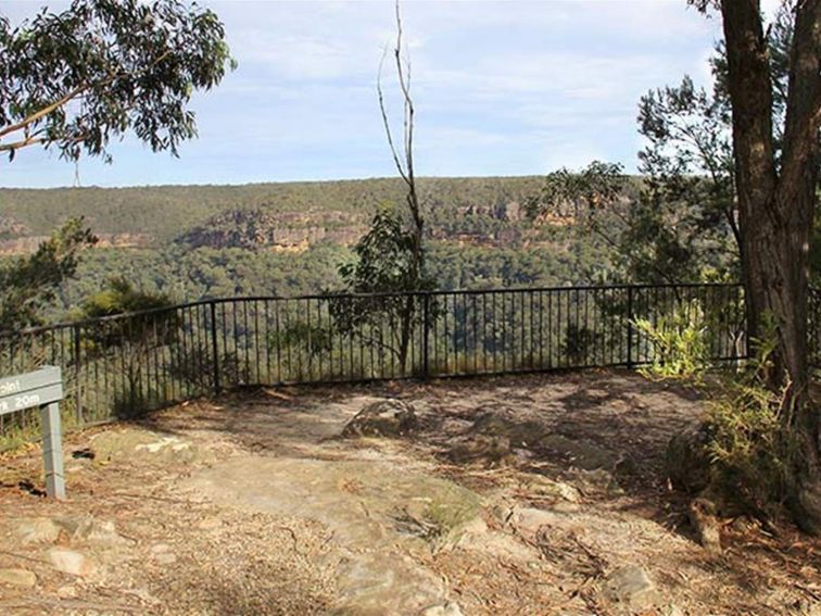 Fenced lookout area, with view across canyon to rugged cliff faces and forest-clad wilderness.