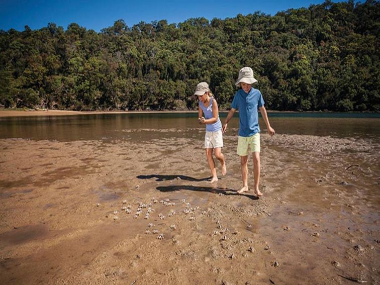 Children looking for soldier crabs on the sand at The Basin, Ku-ring-gai Chase National Park. Photo: