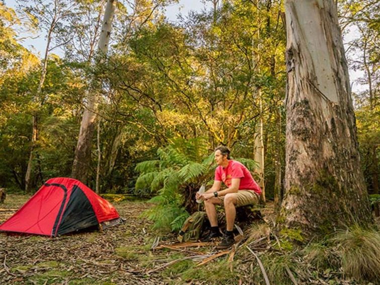 Man sitting next to his tent at Thungutti campground in New England National Park. Photo: John