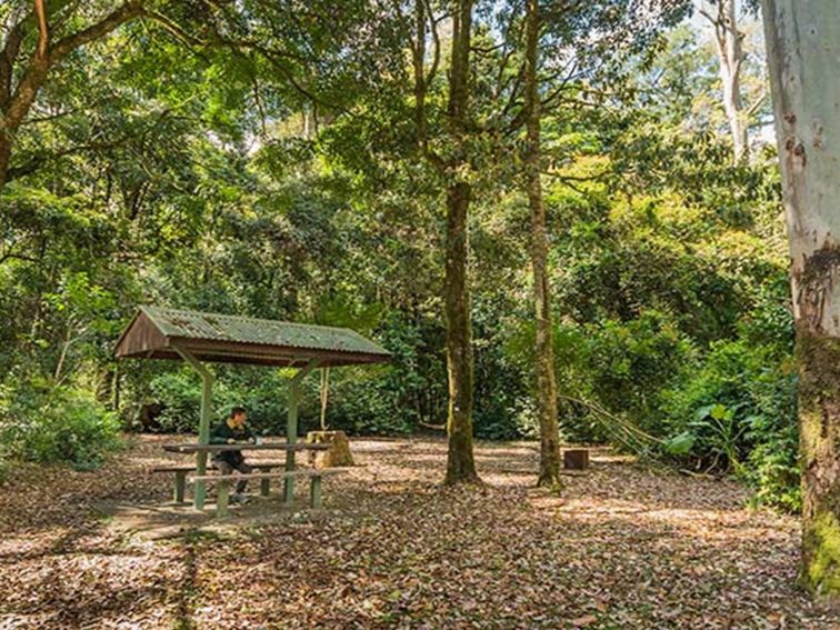 Tooloom picnic area, Tooloom Nature reserve. Photo: John Spencer &copy; DPIE