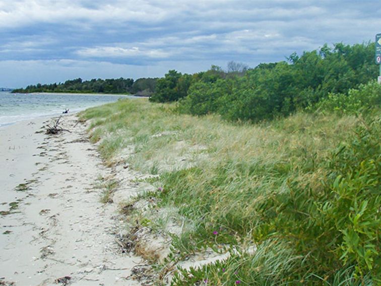 Towra Beach Day Use Area, Towra Point Nature Reserve. Photo: OEH
