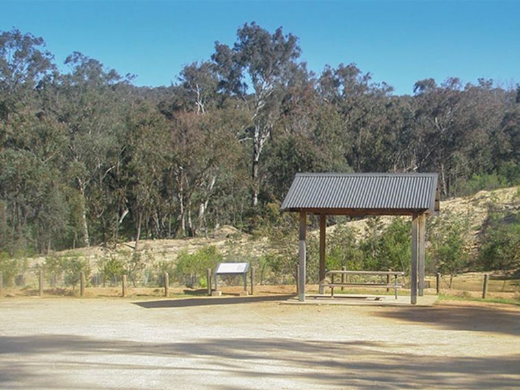 Tunnel Road picnic area, Woomargama National Park. Photo: Dave Pearce/NSW Government