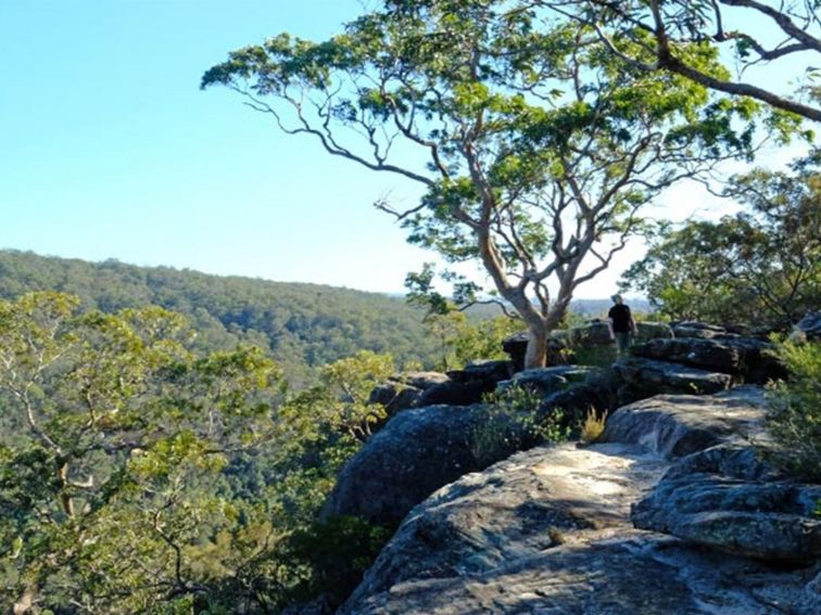 A man walks along the rock platform that forms unfenced Vale of Avoca lookout in Blue Mountains