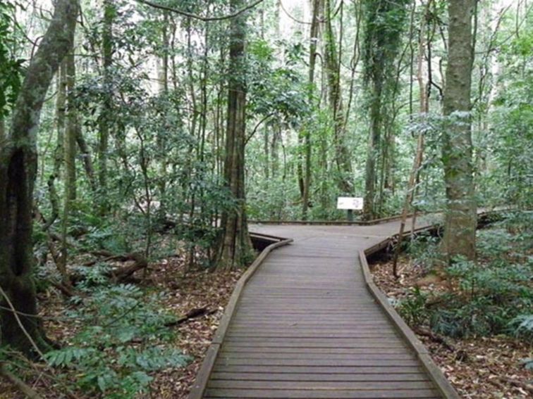 Victoria Park boardwalk, Victoria Park Nature Reserve. Artist: NSW Government