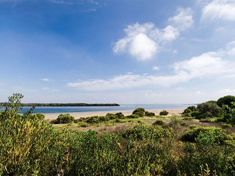 Towra Point Nature Reserve. Photo: John Spencer/NSW Government