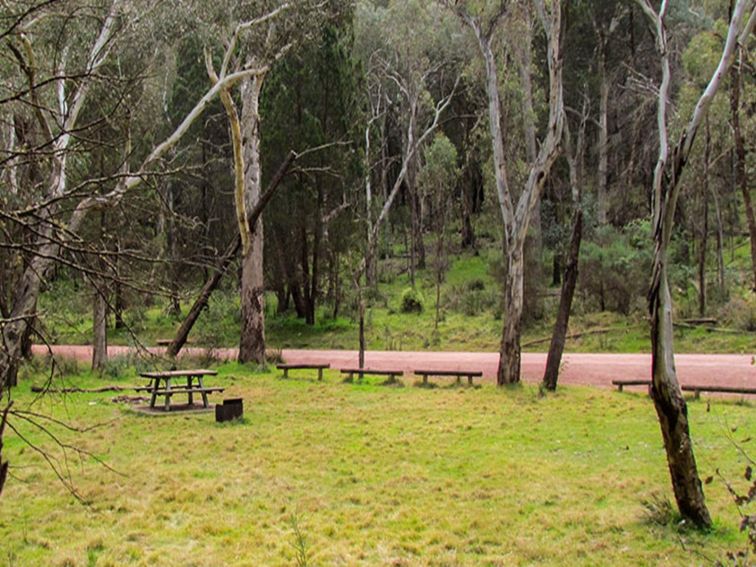 Wallaby picnic area, Conimbla National Park. Photo: M Cooper/NSW Government