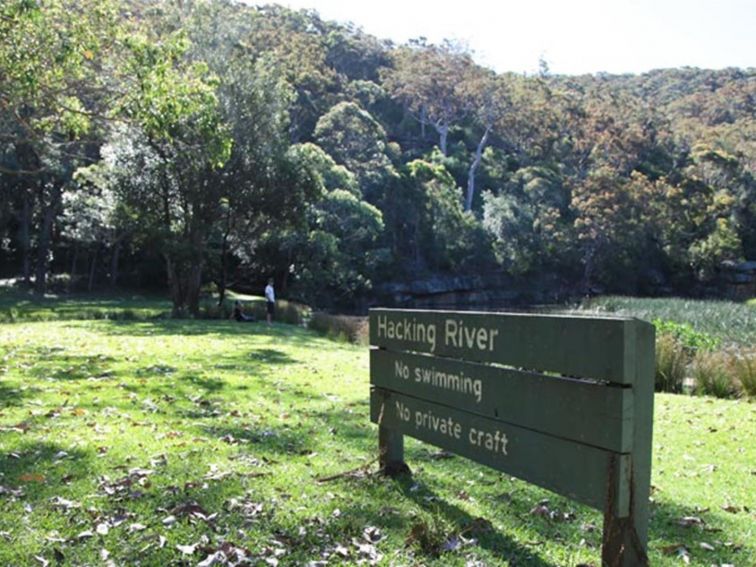 Wattle Forest picnic area, Royal National Park. Photo: Andy Richards/NSW Government