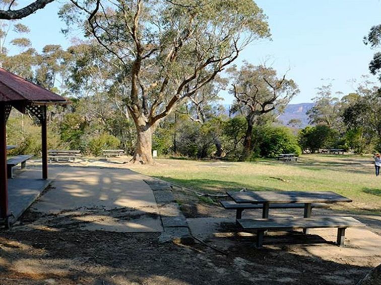 Barbecues and picnic tables at Wentworth Falls picnic area, Blue Mountains National Park. Photo: E