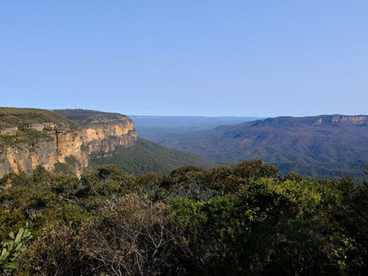 Escarpment and valley views from Jamison lookout, Wentworth Falls, Blue Mountains National Park.