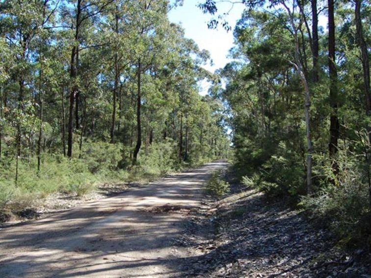 Deadmans Loop Trail, Werakata National Park. Photo: Susan Davis/NSW Government