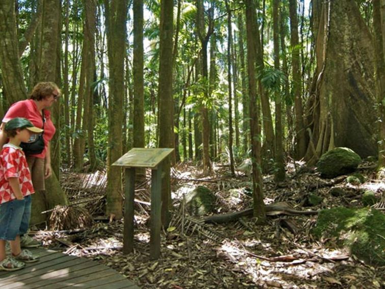 Protestors Falls Walking Track, Whian Whian State Conservation Area. Photo: John Spencer &copy: DPIE
