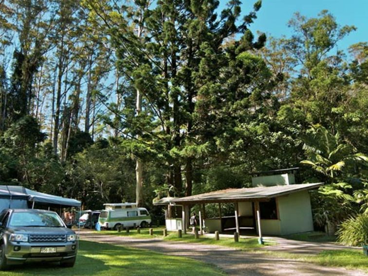 Rummery Park Camping Area, Whian Whian State Conservation Area. Photo: John Spencer &copy: DPIE