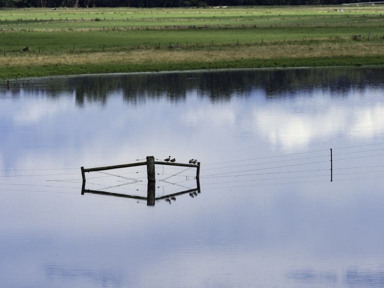 Grants flooded paddocks and sky reflection