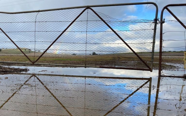 A photo of a gate looking into a flooded paddock in NSW.
