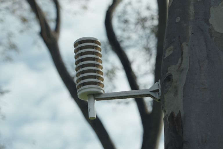 A low cost sensing device is installed on the side of a tree outdoors.