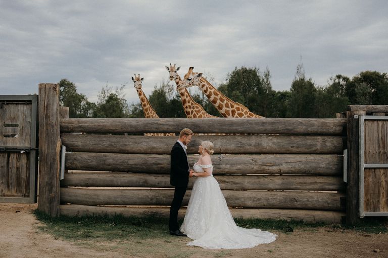 A bride and groom hold hands in front of a giraffe at Sydney Zoo