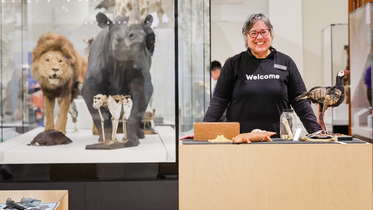 smiling volunteer with welcome written on their shirt standing behind a desk beside an exhibit with a lion and a rhino