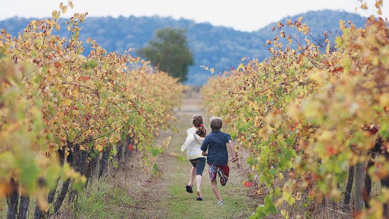 Two children running away from the camera in between two rows of vines in a vineyard