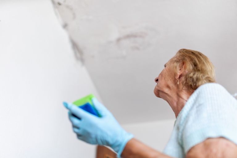 Woman cleans mould from ceiling