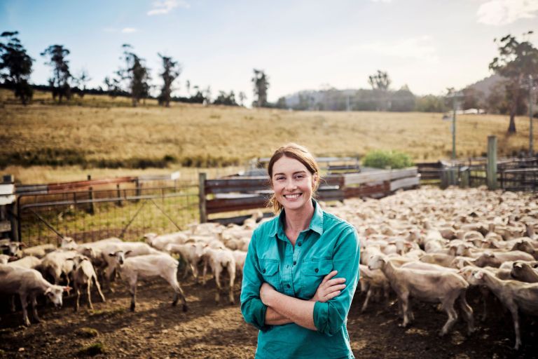 A female farmer stands in a yard with a flock of sheep