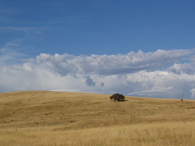 Landscape with a tree in the distance, blue sky, with clouds low to the horizon.