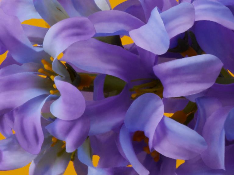 Close-up of irises