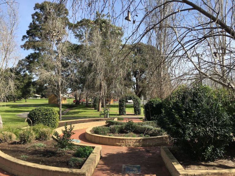 The sensory garden in Curry Reserve is maintained by Camden Council. With a variety of seasonal and ever green plantings, including edible herbs and citrus. The garden varies in appearance by season.