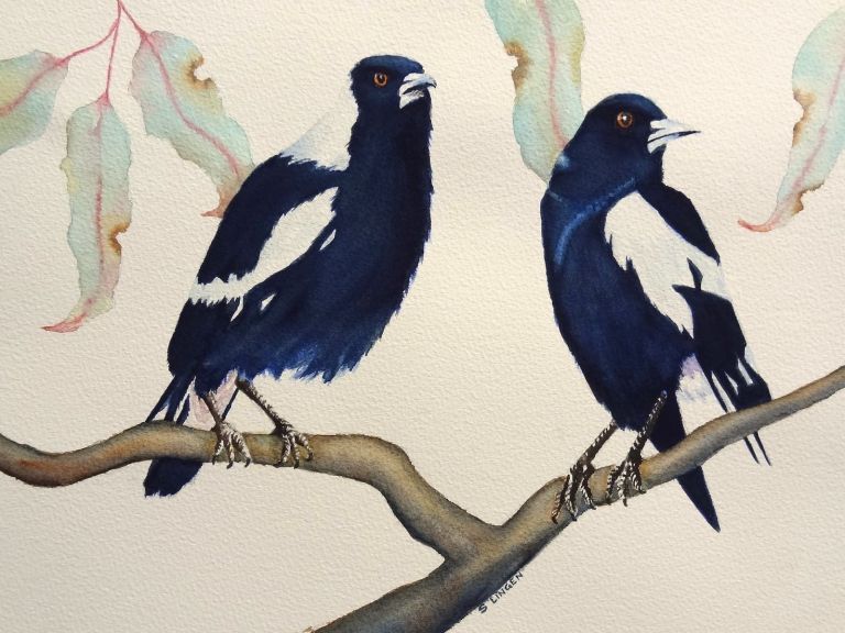 Watercolour paining of two magpies siting on a branch. Painted by watercolour artist Susie Linigen.