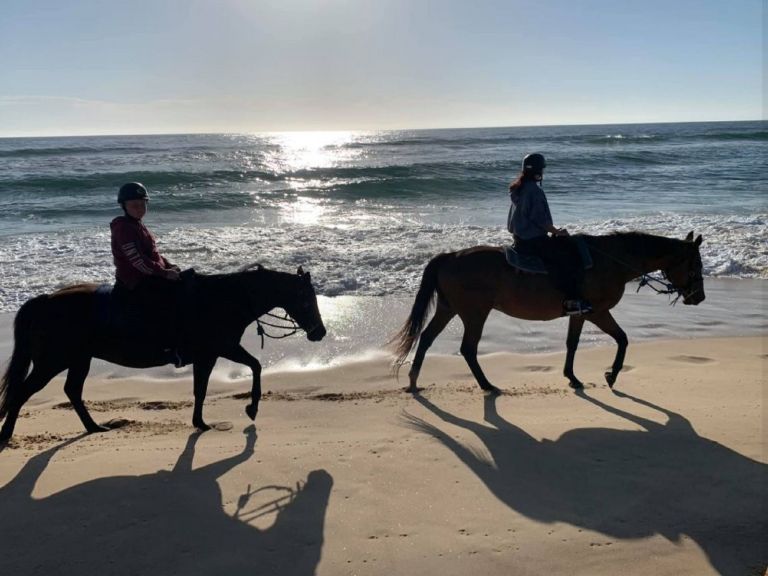 Horses tour on the beach