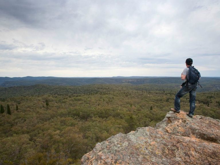 Lees Pinch lookout walking track, Goulburn River National Park. Photo: Nick Cubbin/NSW Government