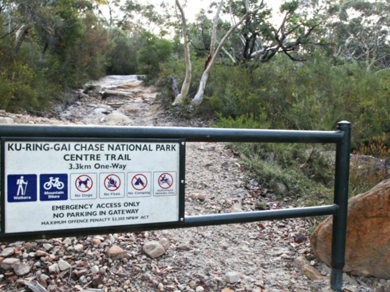 Centre trail, Ku-ring-gai Chase National Park. Photo: Andy Richards/NSW Government