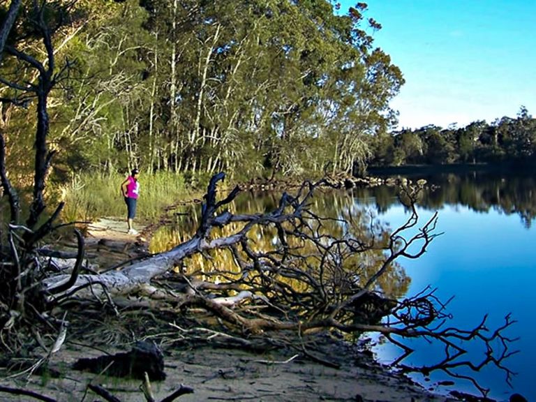 Knappinghat Creek, Five Islands Walking Track. Photo: Kevin Carter/NSW Government.