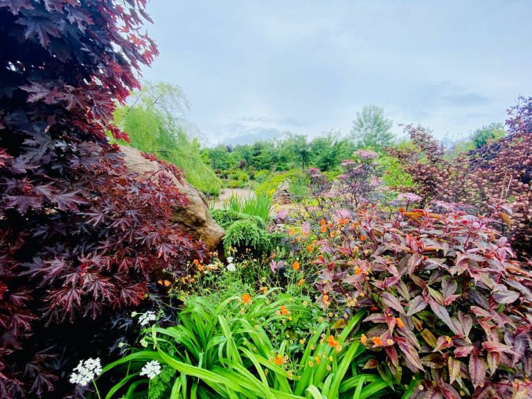 the gardens in Hartley valley are full of wonderful colour from flowers and foliage, a reel treat!