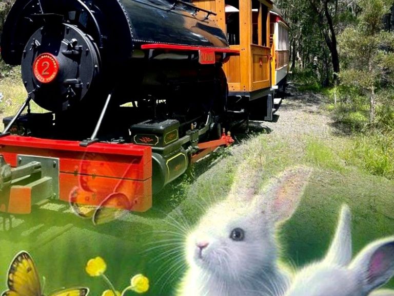 Bunny Hop Express at the Illawarra LIght Railway Museum