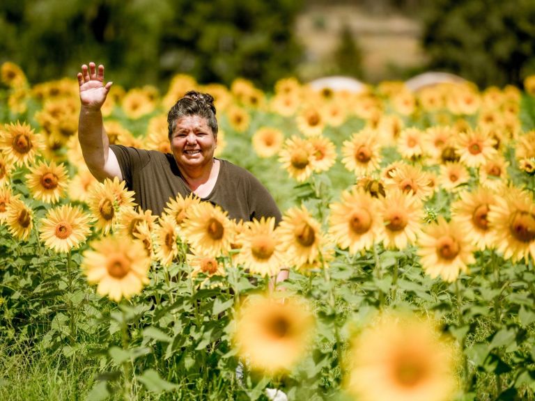 Waving lady surrounded by sunflowers