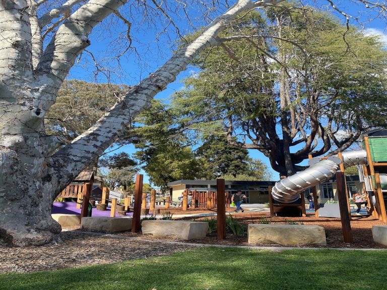 Cameron Park Playground Wellington