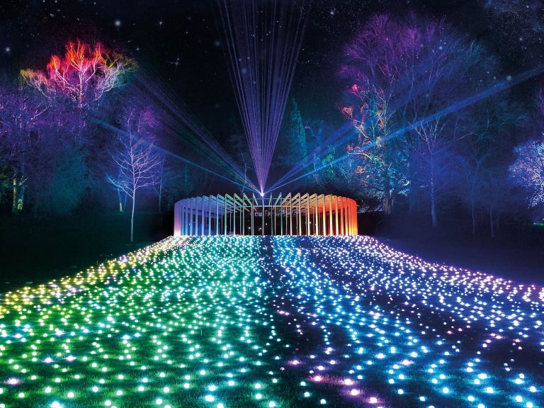 Lightscape at the Garden