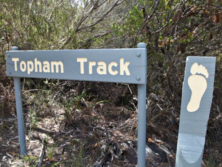 Topham track, Ku-ring-gai Chase National Park. Photo: Andy Richards/NSW Government