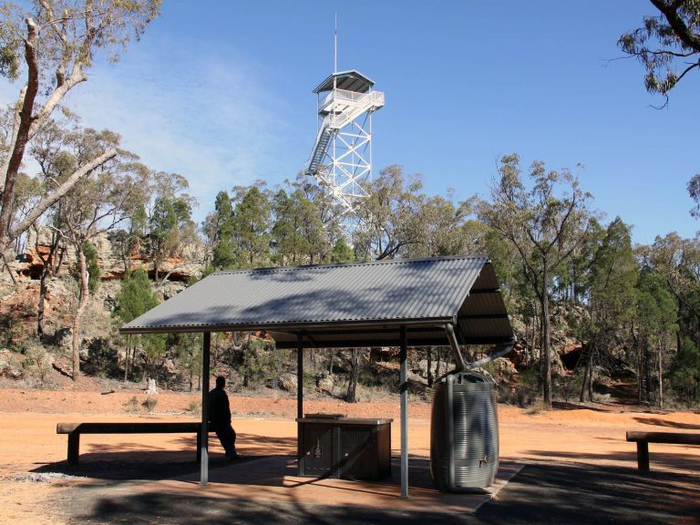 Pilliga Forest Lookout Tower