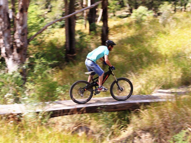 The Steps Mountain Bike Park - berms and bridges