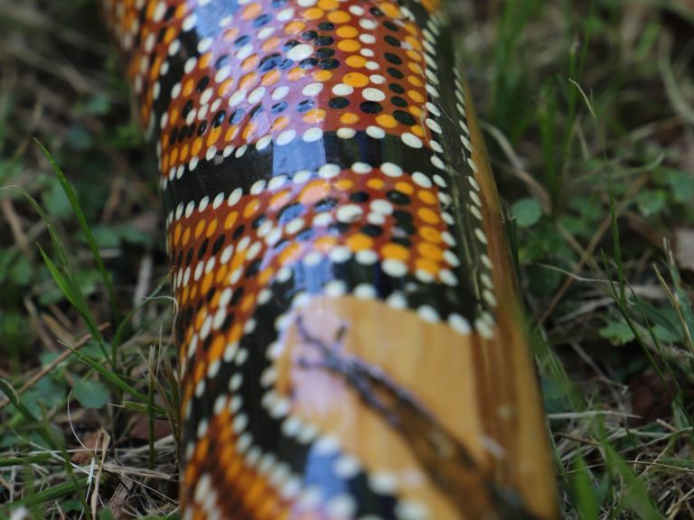 Detail of Aboriginal artwork by Shane Herrington on a didgeridoo
