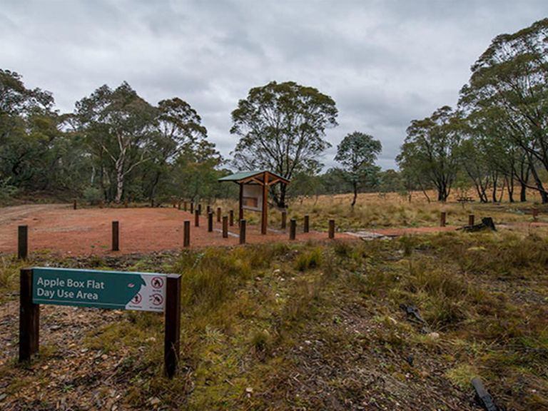Apple Box Picnic Area, Yanununbeyan State Conservation. Photo: John Spencer/NSW Government
