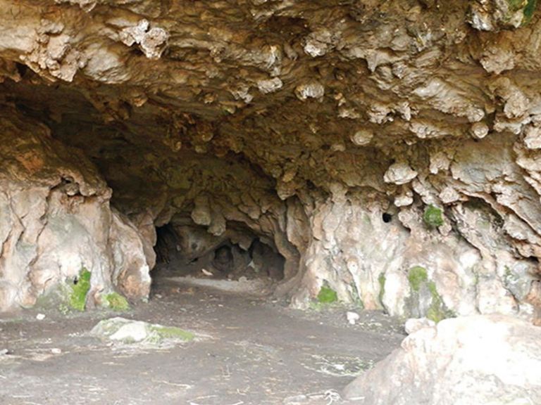 The entrance to Arch Cave on Arch Loop track in Borenore Karst Conservation Reserve. Photo: Debby