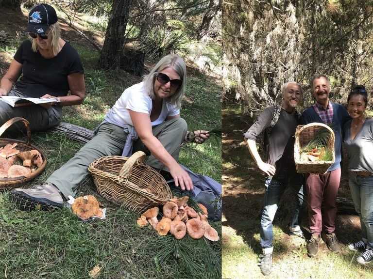 Friends and partners foraging mushrooms together