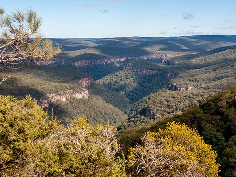 View from Beauchamp Cliffs lookout past scrub vegetation to Morton National Park wilderness. Photo: