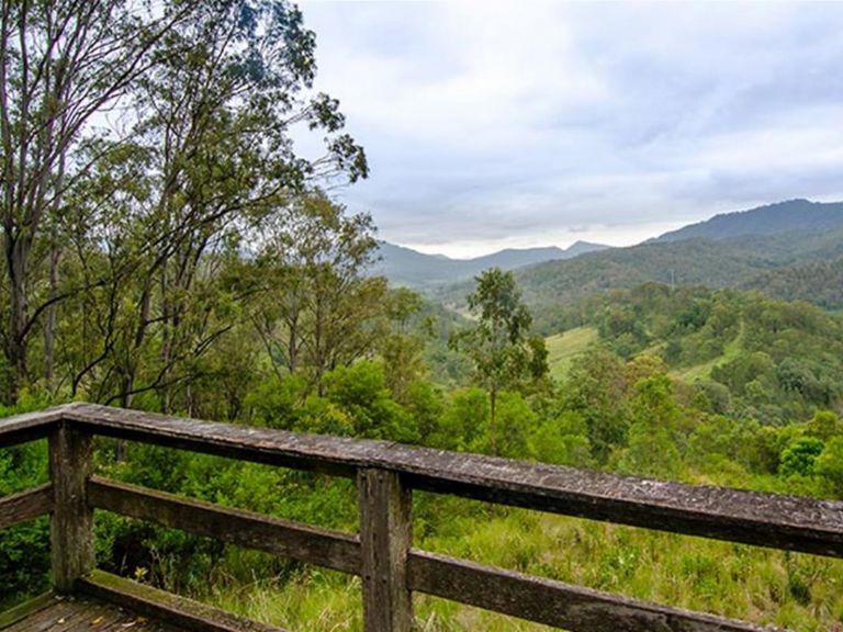 Views of Gradys Creek valley from Border Loop lookout in Border Ranges National Park. Photo credit: