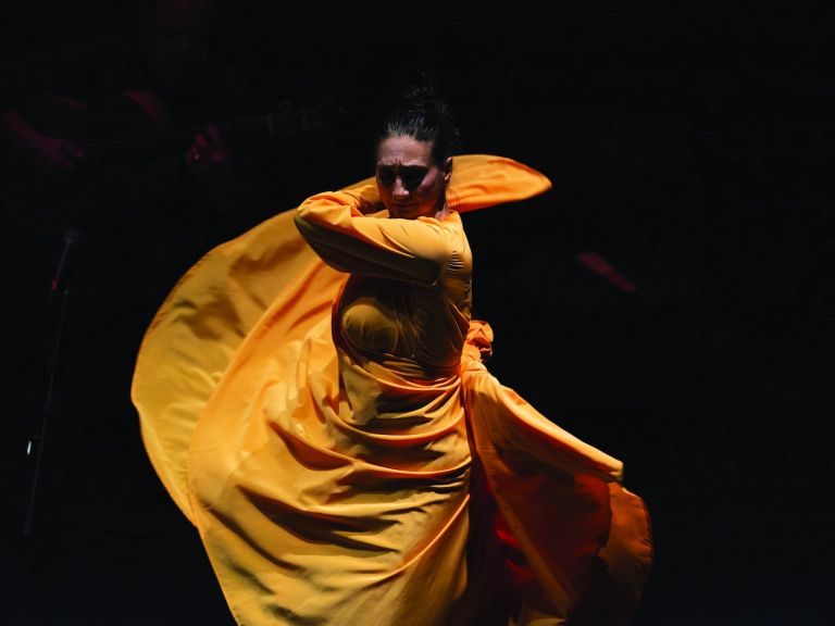 Flamenco performer on stage
