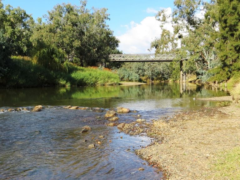 Namoi River at Cohen's Bridge