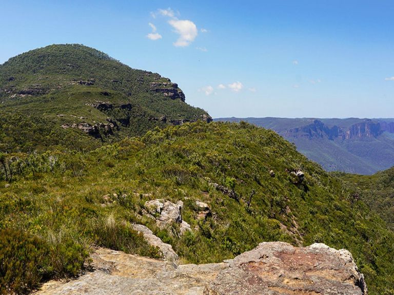 View of woodland, open heath and mountain peak, looking toward Claustral Canyon. Photo credit:
